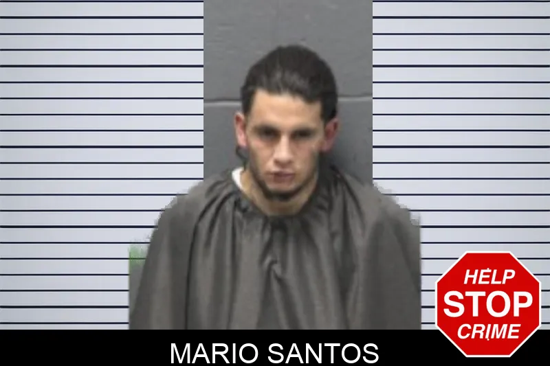 Mario Santos mugshot