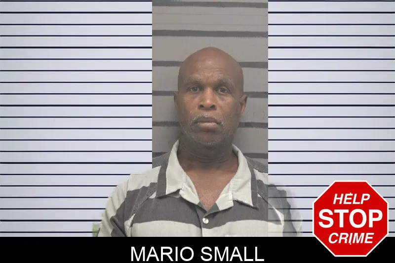 Mario Small mugshot – Dougherty County , Georgia Mario Small mugshot