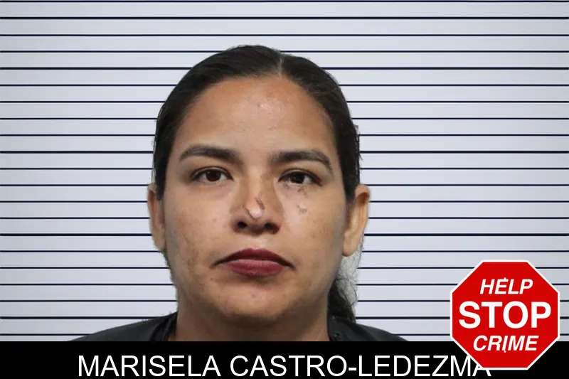 Marisela Castro-Ledezma mugshot