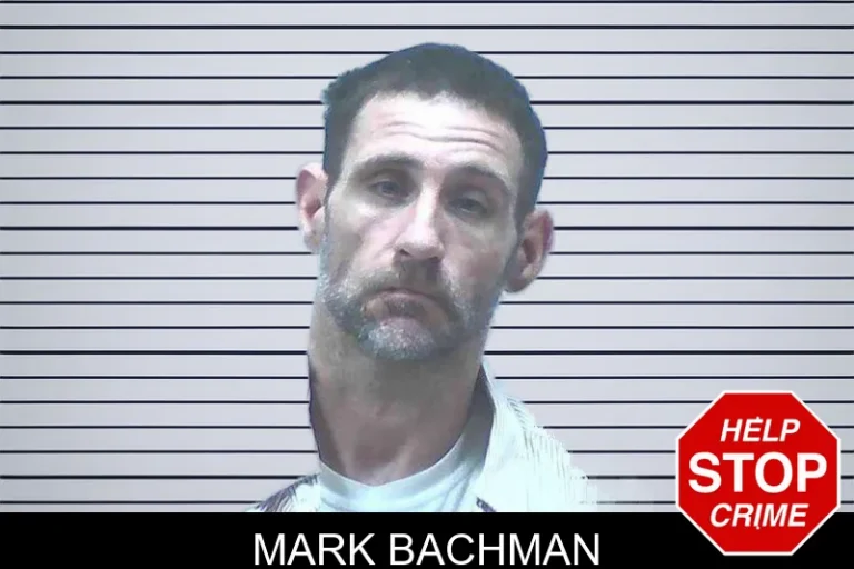 Mark Bachman