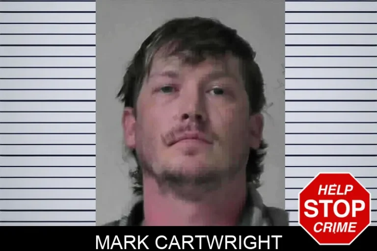 Mark Cartwright