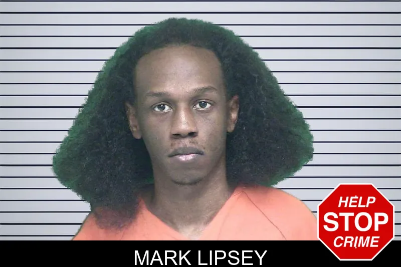 Mark Lipsey mugshot