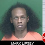 Mark Lipsey mugshot