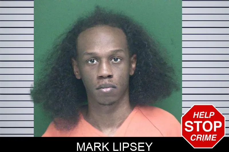 Mark Lipsey mugshot