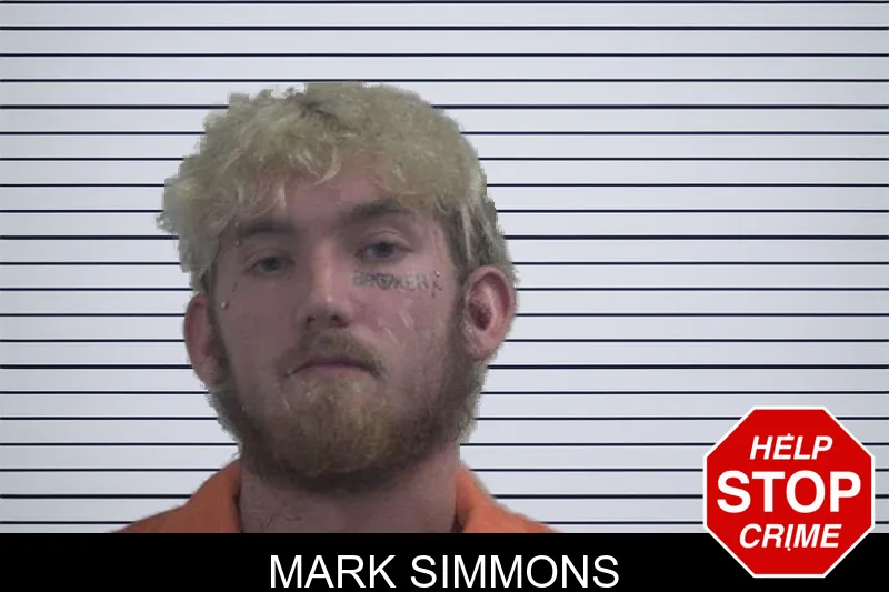 Mark Simmons mugshot