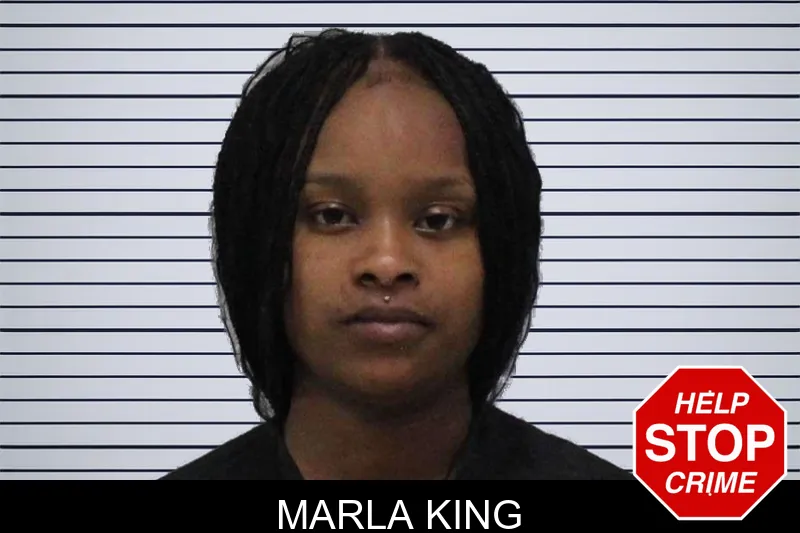 Marla King mugshot – Carroll County , Georgia Marla King mugshot
