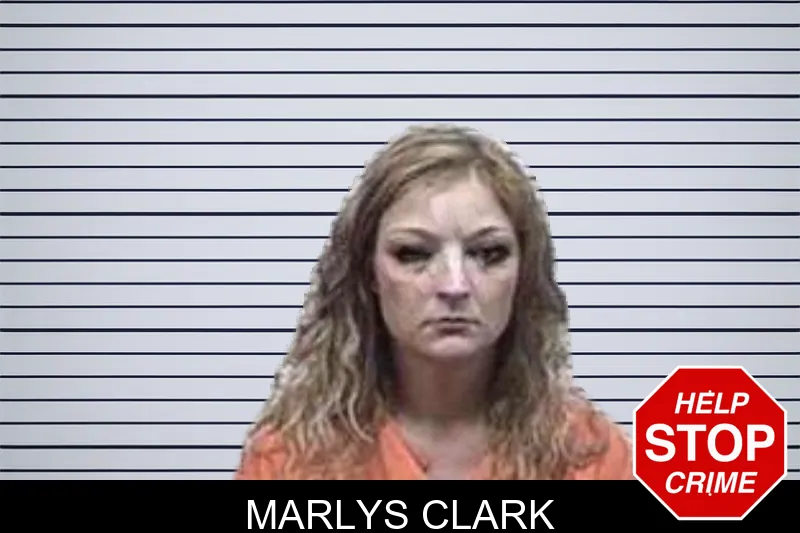 Marlys Clark mugshot