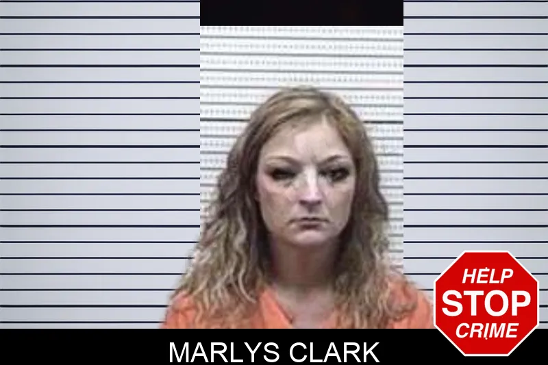Marlys Clark mugshot