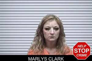 Marlys Clark mugshot