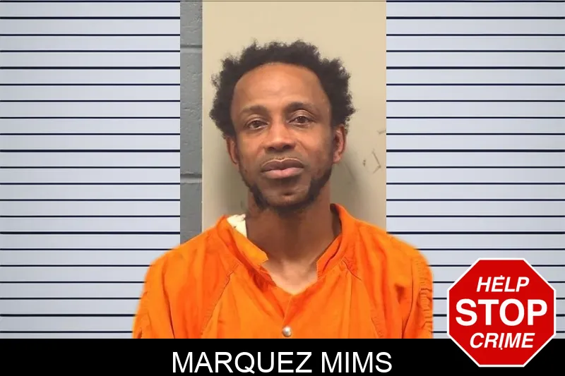 Marquez Mims mugshot – Bleckley County , Georgia Marquez Mims mugshot