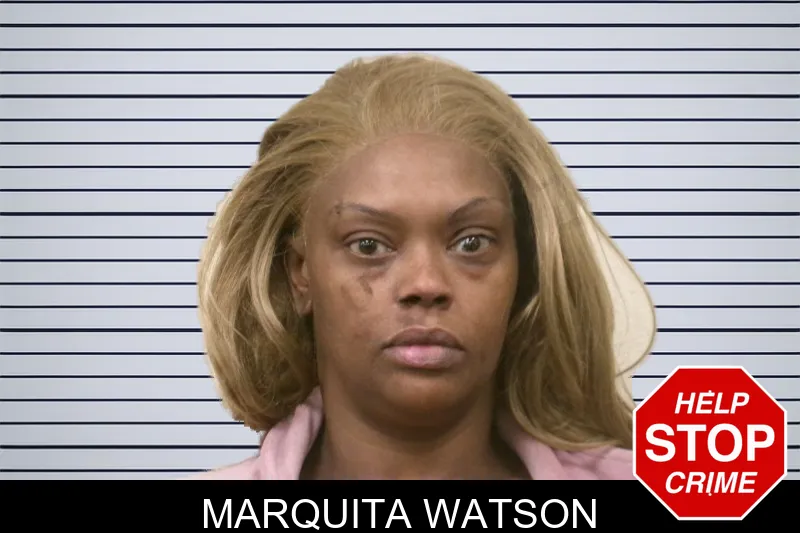 Marquita Watson mugshot – Bulloch County , Georgia Marquita Watson mugshot