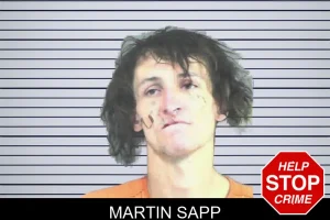 Martin Sapp mugshot