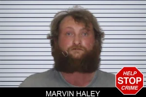 Marvin Haley mugshot