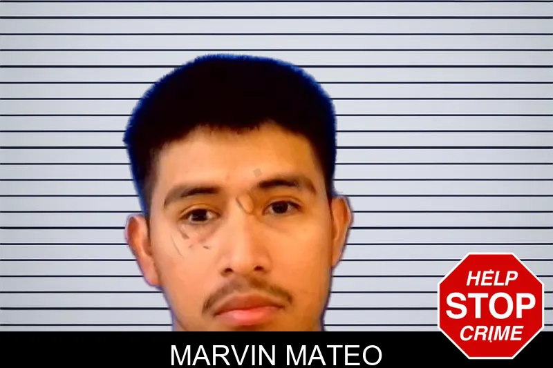 Marvin Mateo mugshot