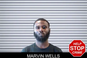 Marvin Wells mugshot