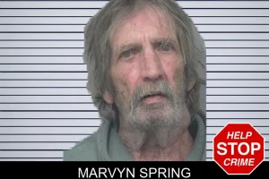 Marvyn Spring mugshot