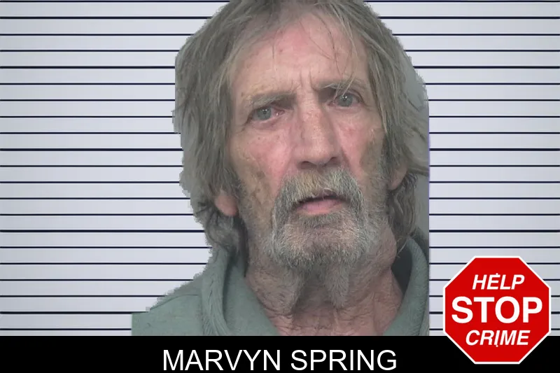 Marvyn Spring mugshot