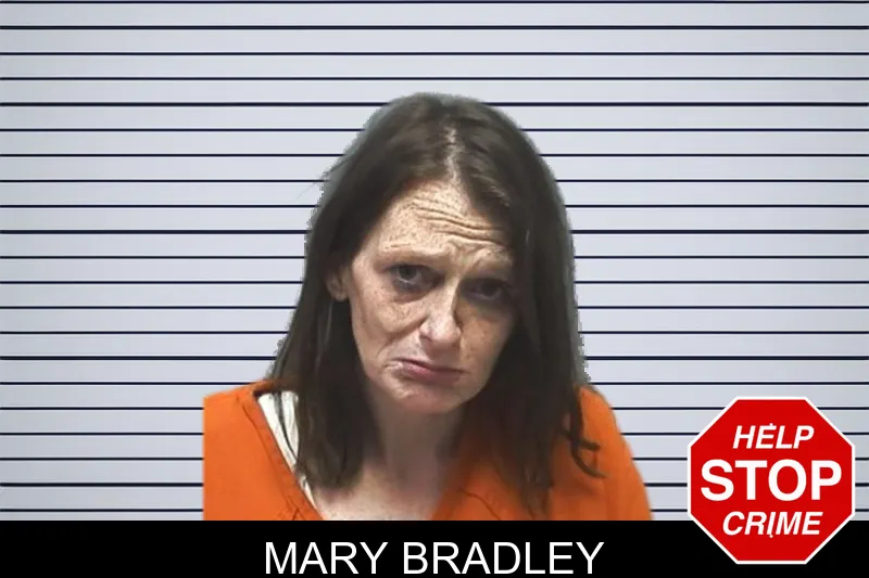 Mary Bradley mugshot