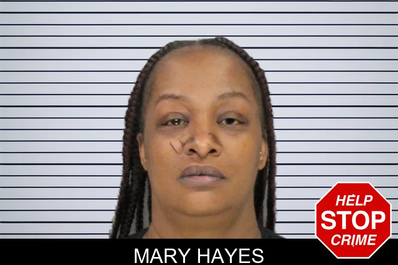 Mary Hayes mugshot