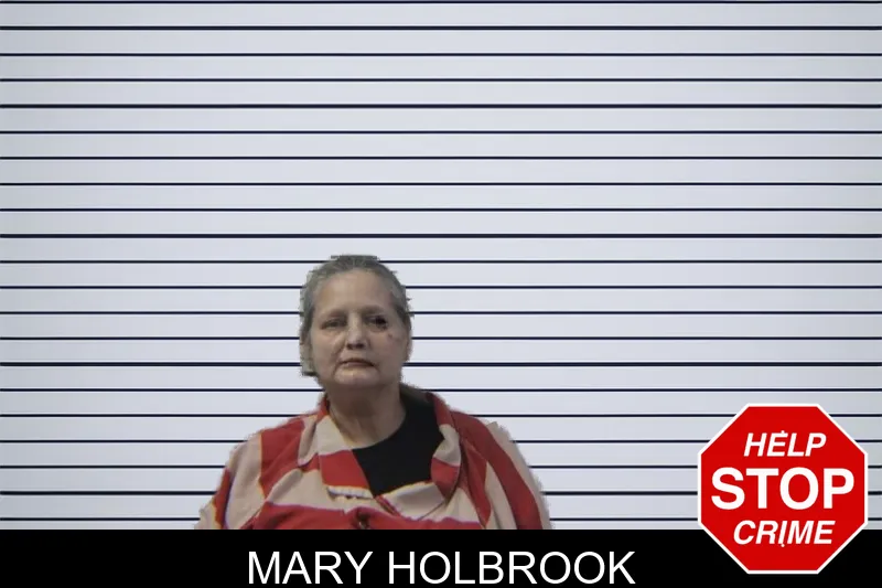 Mary Holbrook mugshot