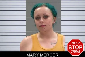 Mary Mercer mugshot