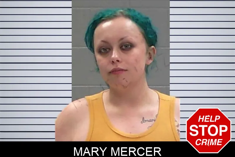 Mary Mercer mugshot – Baldwin County , Georgia Mary Mercer mugshot