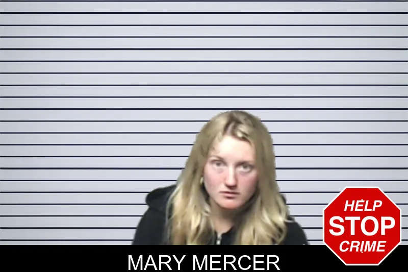 Mary Mercer mugshot