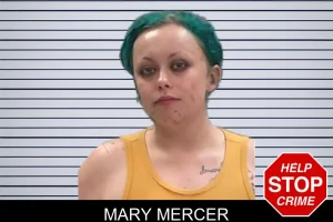 Mary Mercer mugshot