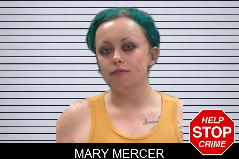 Mary Mercer mugshot
