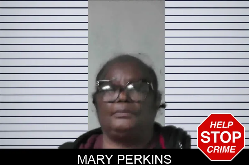 Mary Perkins mugshot
