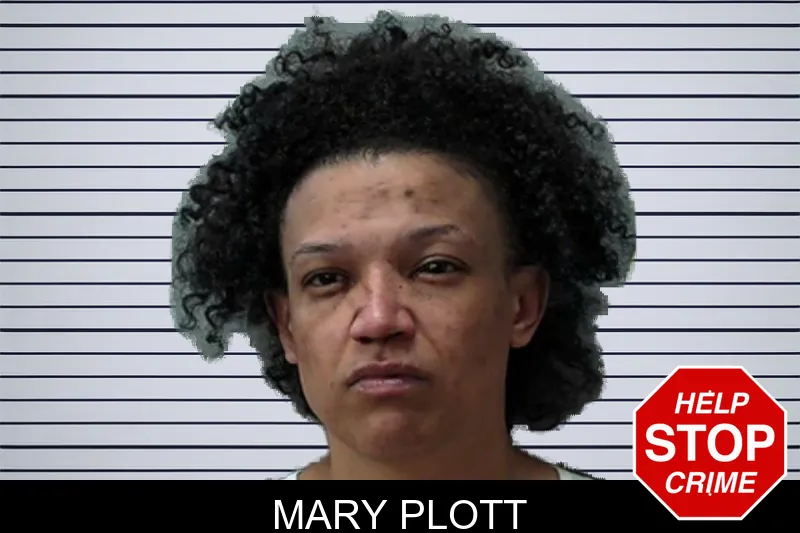 Mary Plott mugshot