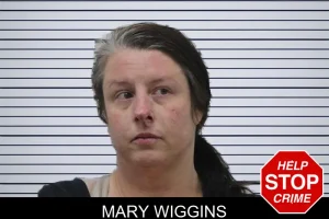 Mary Wiggins mugshot