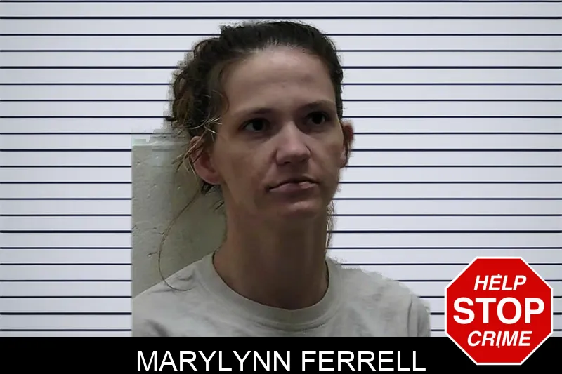 Marylynn Ferrell mugshot