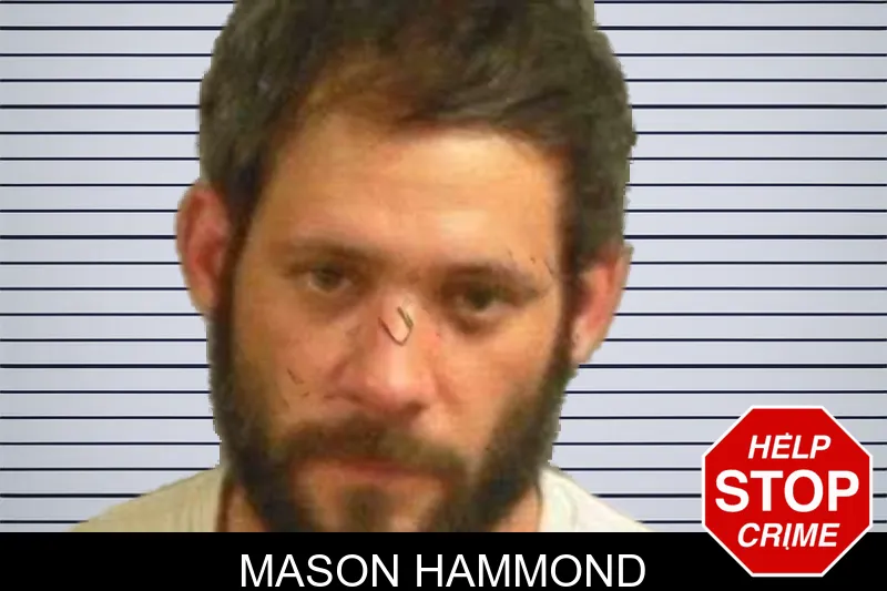 Mason Hammond mugshot