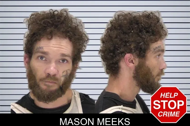 Mason Meeks mugshot