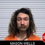 Mason Wells mugshot