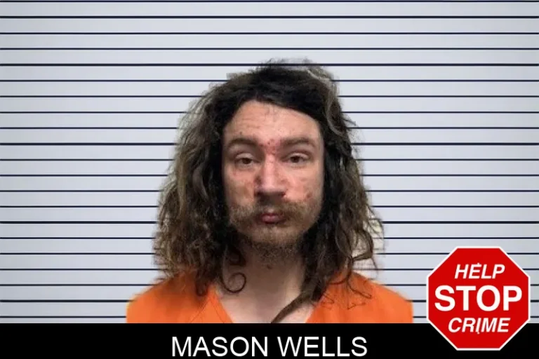 Mason Wells