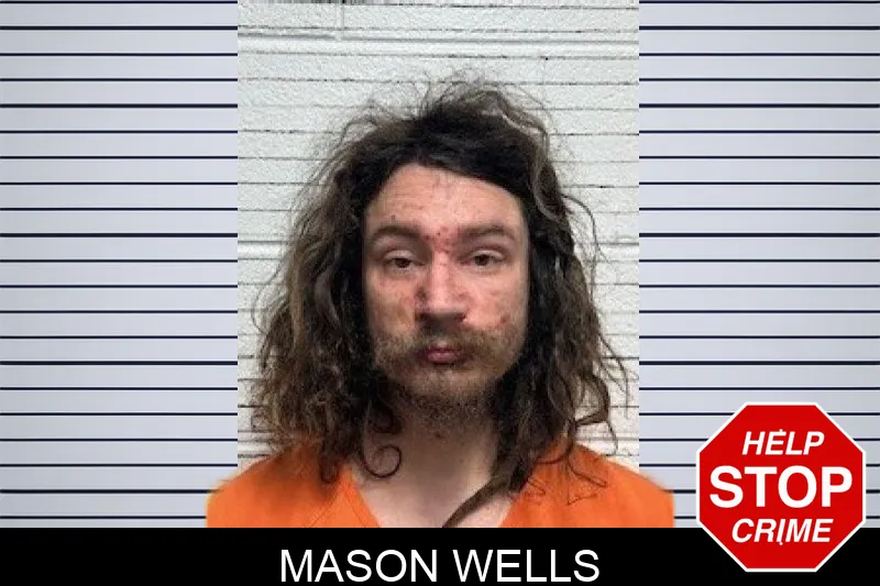 Mason Wells mugshot