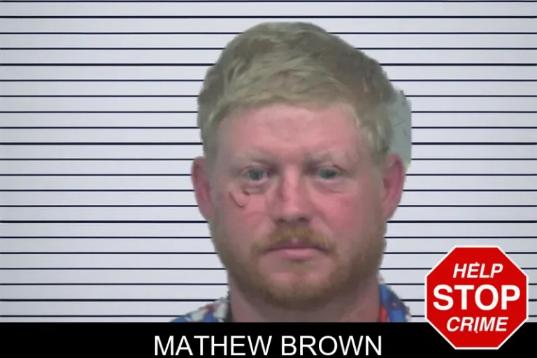 Mathew Brown mugshot – Gwinnett County , Georgia Mathew Brown