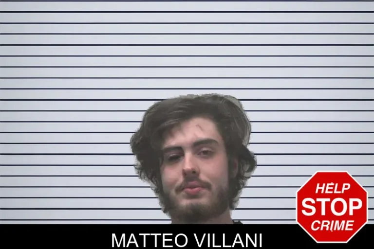 Matteo Villani