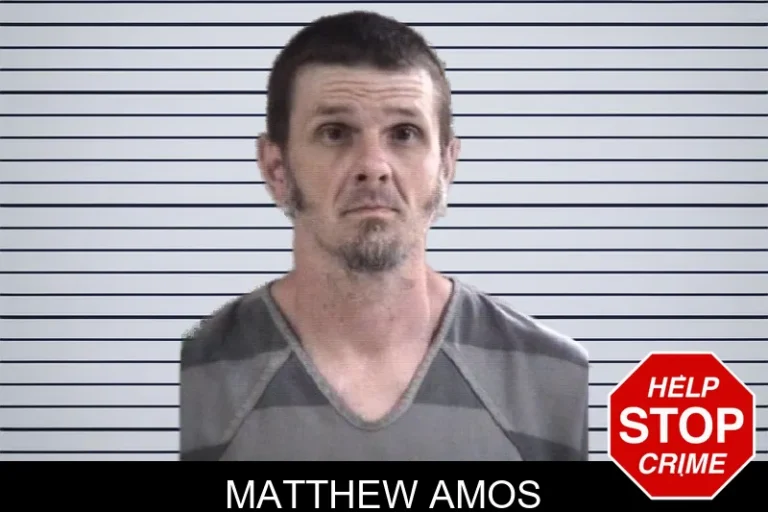 Matthew Amos