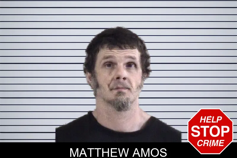 Matthew Amos mugshot – Whitfield County , Georgia Matthew Amos mugshot