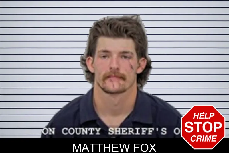 Matthew Fox mugshot