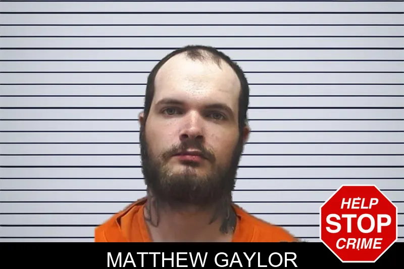Matthew Gaylor mugshot