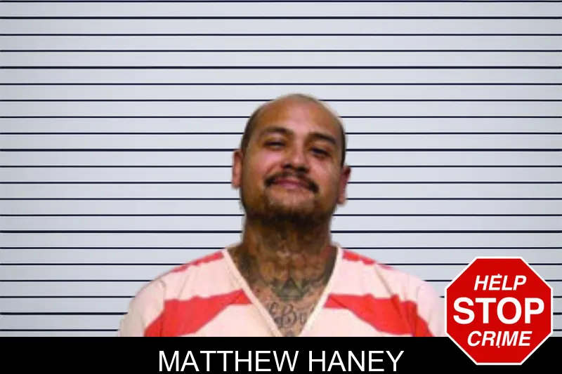 Matthew Haney mugshot