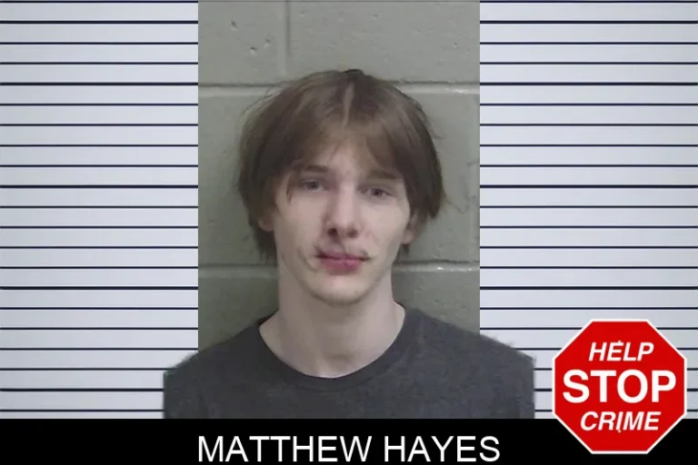Matthew Hayes mugshot – Wayne County , Georgia Matthew Hayes