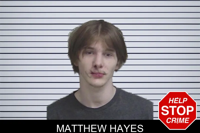 Matthew Hayes mugshot – Wayne County , Georgia Matthew Hayes mugshot