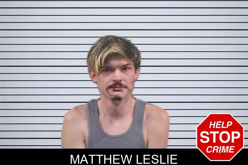 Matthew Leslie mugshot