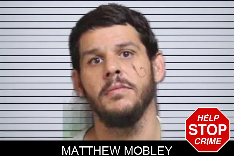Matthew Mobley mugshot – Bacon County , Georgia Matthew Mobley mugshot