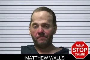 Matthew Walls mugshot